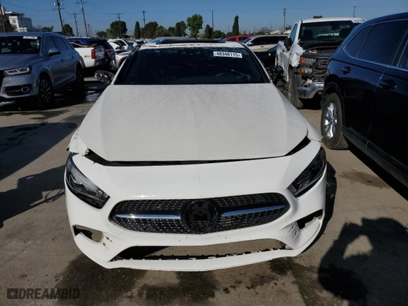 2019 Mercedes-Benz CLS with VIN WDD2J5JB6KA041898, listed as a Copart auction lot 48348115 with NaN miles and Salvage Title. Bid and sale history available at carsss.com. Image 5.