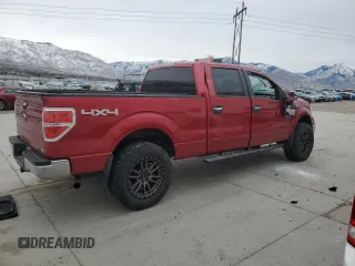2010 Ford F-150 XL with VIN 1FTFW1EV9AFB54028, listed as a Copart auction lot 44244155 with 158,050 mi miles and Salvage Title. Bid and sale history available at carsss.com. Image 3.