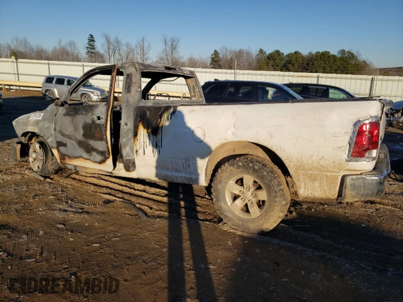 2018 Ram 1500 SLT with VIN 3C6JR7ET9JG173509, listed as a Copart auction lot 87915765 with Not provided miles and Non repairable. Bid and sale history available at DreamBid. Image 2.