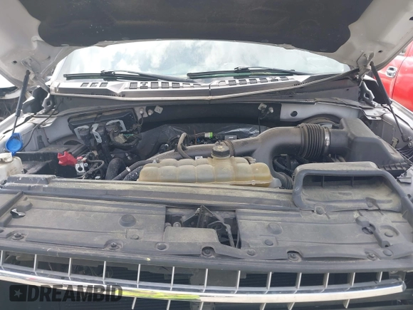 2019 Ford F-150 XL with VIN 1FTEW1CP2KFB42952, listed as a IAAI auction lot 41939615 with Not provided miles and . Bid and sale history available at DreamBid. Image 10.