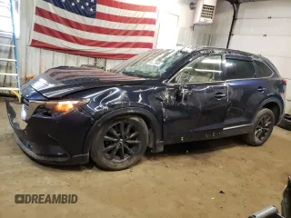 2016 Mazda CX-9 Touring with VIN JM3TCACY1G0114117, listed as a Copart auction lot 48476665 with Not Provided miles and Salvage Title. Bid and sale history available at carsss.com. Image 1.