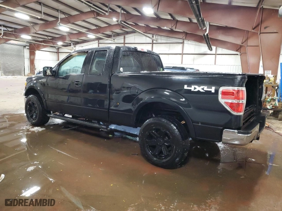 2014 Ford F-150 XL with VIN 1FTFX1EF9EFA53051, listed as a Copart auction lot 44805735 with 123,167 mi miles and Clean Title. Bid and sale history available at carsss.com. Image 2.