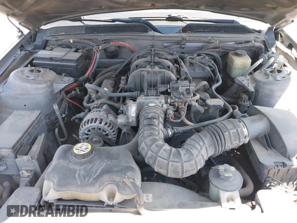 2006 Ford Mustang Standard with VIN 1ZVFT80N065224065, listed as a IAAI auction lot 42058487 with 211,640 mi miles. Bid and sale history available at carsss.com. Image 9.