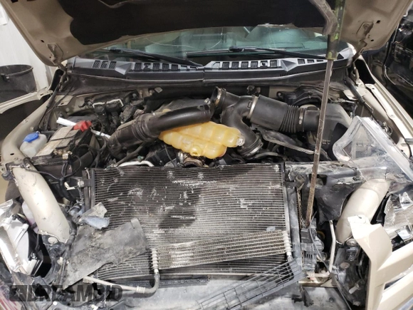 2017 Ford F-150 XL with VIN 1FTEW1EG8HFA75005, listed as a Copart auction lot 62964905 with 76,751 mi miles and Salvage title. Bid and sale history available at DreamBid. Image 11.