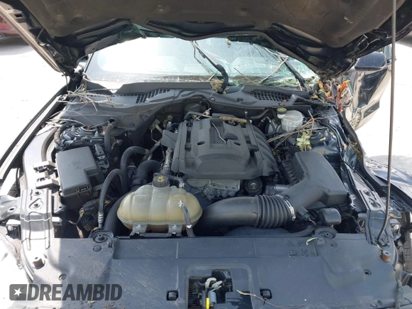 2019 Ford Mustang EcoBoost with VIN 1FA6P8TH4K5146998, listed as a IAAI auction lot 41849760 with 58,467 mi miles and . Bid and sale history available at carsss.com. Image 10.