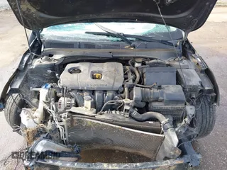 2019 Kia Forte S with VIN 3KPF34AD7KE066484, listed as a IAAI auction lot 41073964 with 118,946 mi miles. Bid and sale history available at carsss.com. Image 10.