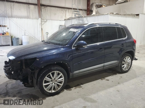 2013 Volkswagen Tiguan S with VIN WVGAV3AX7DW069012, listed as a Copart auction lot 55720975 with 133,381 mi miles and Salvage title. Bid and sale history available at DreamBid. Image 1.