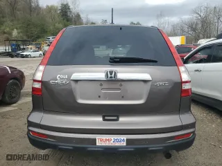 2010 Honda CR-V EX-L with VIN 5J6RE4H79AL071029, listed as a Copart auction lot 50167495 with 121,470 mi miles and Salvage Title. Bid and sale history available at carsss.com. Image 6.