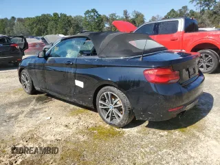 2019 BMW 2 Series 230i with VIN WBA2M7C57K7D33514, listed as a Copart auction lot 73794664 with 0 mi miles and Non Repairable. Bid and sale history available at carsss.com. Image 2.