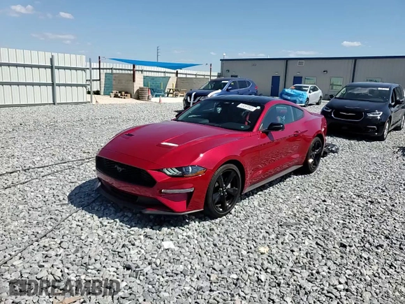 2023 Ford Mustang EcoBoost с VIN 1FA6P8TH7P5111783, выставлен на аукционе Copart как лот 53097805 с пробегом 10 989 миль миль и Списание • Salvage title. История ставок и продаж доступна на DreamBid. Изображение 13.