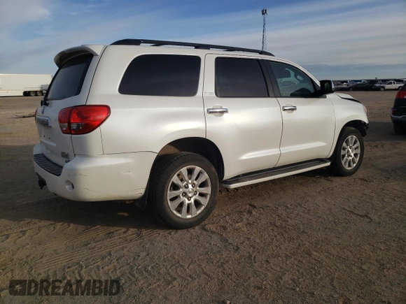 2010 Toyota Sequoia Platinum with VIN 5TDDW5G1XAS036174, listed as a Copart auction lot 41662065 with 238,295 mi miles and Salvage Title. Bid and sale history available at carsss.com. Image 3.