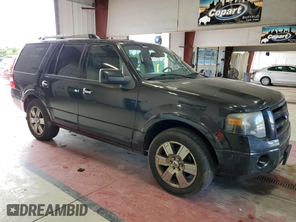 2010 Ford Expedition Limited with VIN 1FMJU2A53AEA38322, listed as a Copart auction lot 62833195 with 205,082 mi miles and Salvage title. Bid and sale history available at DreamBid. Image 4.
