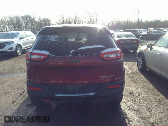 2014 Jeep Cherokee Trailhawk with VIN 1C4PJMBS9EW161047, listed as a IAAI auction lot 41841038 with Not Provided miles. Bid and sale history available at carsss.com. Image 16.