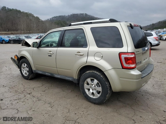 2010 Ford Escape Limited with VIN 1FMCU9EG4AKA68590, listed as a Copart auction lot 45125135 with 0 mi miles and Salvage Title. Bid and sale history available at carsss.com. Image 2.