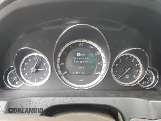 2010 Mercedes-Benz E-Class E 550 with VIN WDDKJ7CB5AF046696, listed as a Copart auction lot 49076015 with 0 mi miles and Salvage Title. Bid and sale history available at carsss.com. Image 9.