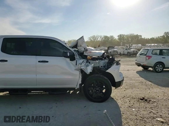 2022 Chevrolet Silverado 1500 LT Trail Boss with VIN 3GCUDFEL2NG661169, listed as a Copart auction lot 73760814 with Not Provided miles and Salvage Title. Bid and sale history available at DreamBid. Image 10.