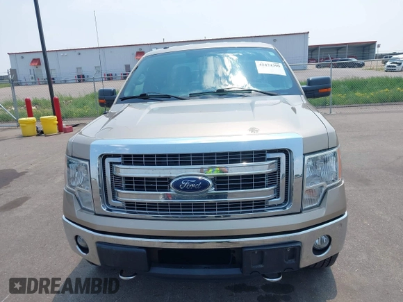 2013 Ford F-150 XL z VIN 1FTFX1ET8DFB90728, wystawiony jako IAAI lot #42474399 z przebiegiem 175 385 mil mil oraz . Historia ofert i sprzedaży dostępna na DreamBid. Obrazek 12.