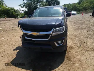 2016 Chevrolet Colorado 2WD LT with VIN 1GCHSCE38G1133465, listed as a Copart auction lot 60811624 with 133,303 mi miles and Salvage Title. Bid and sale history available at carsss.com. Image 11.