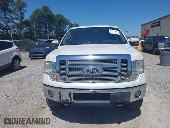2010 Ford F-150 XL with VIN 1FTFW1EV3AKE16813, listed as a IAAI auction lot 41999051 with 206,457 mi miles. Bid and sale history available at carsss.com. Image 12.