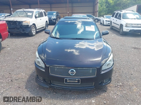 2013 Nissan Maxima S with VIN 1N4AA5AP7DC837414, listed as a IAAI auction lot 42140089 with 123,328 mi miles and . Bid and sale history available at DreamBid. Image 6.