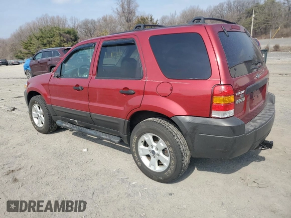 2006 Ford Escape XLT with VIN 1FMYU93136KA37150, listed as a Copart auction lot 49206455 with 48,387 mi miles and Salvage Title. Bid and sale history available at carsss.com. Image 2.