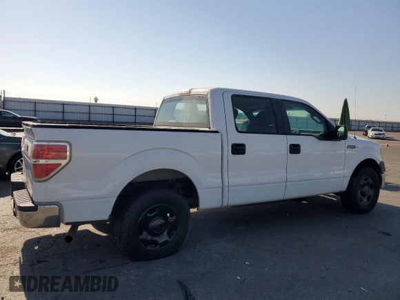 2009 Ford F-150 XL with VIN 1FTRW12W19KC95673, listed as a Copart auction lot 65025015 with 113,221 mi miles and Non repairable. Bid and sale history available at DreamBid. Image 3.
