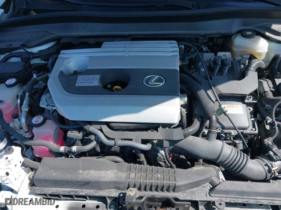 2019 Lexus UX with VIN JTHU9JBH2K2011457, listed as a IAAI auction lot 41894143 with 55,826 mi miles. Bid and sale history available at carsss.com. Image 10.