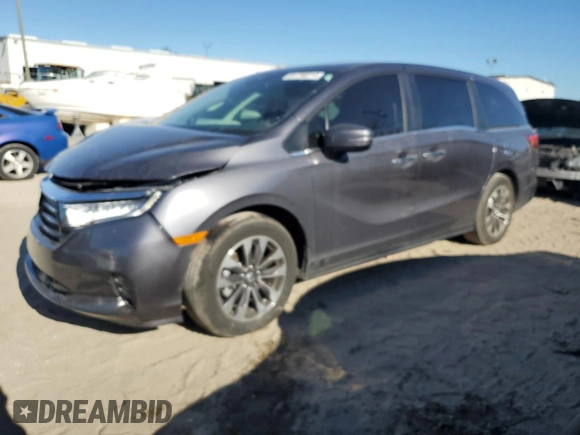 2024 Honda Odyssey EX-L with VIN 5FNRL6H69RB069598, listed as a Copart auction lot 81798314 with Not Provided miles and Salvage Title. Bid and sale history available at DreamBid. Image 1.