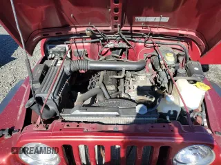 1999 Jeep Wrangler Sport with VIN 1J4FY19S0XP409124, listed as a Copart auction lot 46496615 with 166,834 mi miles and Clean Title. Bid and sale history available at carsss.com. Image 11.
