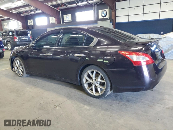 2010 Nissan Maxima SV with VIN 1N4AA5AP7AC846576, listed as a Copart auction lot 56277125 with 219,851 mi miles and Clean title. Bid and sale history available at DreamBid. Image 2.