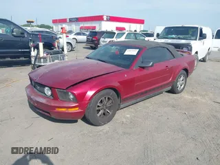 2006 Ford Mustang Standard with VIN 1ZVFT84N365190097, listed as a IAAI auction lot 42015242 with Not Provided miles and . Bid and sale history available at carsss.com. Image 2.