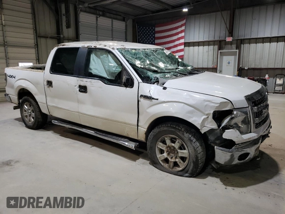 2013 Ford F-150 XL with VIN 1FTFW1EF5DKF14464, listed as a Copart auction lot 44739585 with 348,468 mi miles and Salvage Title. Bid and sale history available at carsss.com. Image 4.