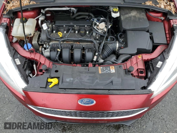 2017 Ford Focus SE with VIN 1FADP3K27HL316444, listed as a Copart auction lot 50217915 with 49,805 mi miles and Salvage Title. Bid and sale history available at carsss.com. Image 11.