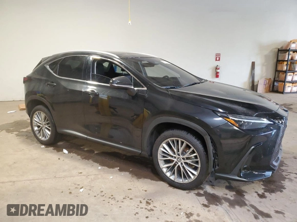 2024 Lexus NX 350 Luxury with VIN 2T2HGCEZ7RC034667, listed as a Copart auction lot 59150195 with 16,675 mi miles and Salvage title. Bid and sale history available at DreamBid. Image 4.