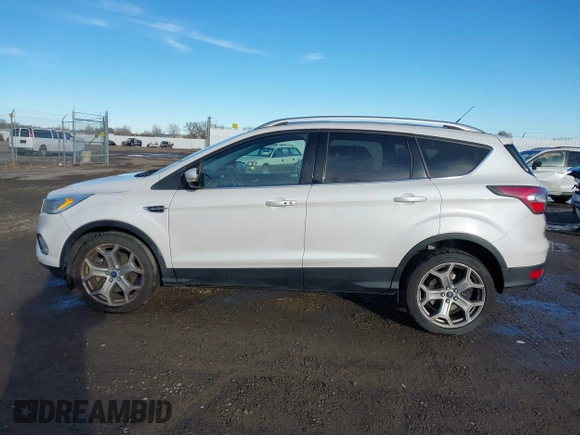 2017 Ford Escape Titanium with VIN 1FMCU9J98HUA04994, listed as a IAAI auction lot 41139988 with 136,989 mi miles. Bid and sale history available at carsss.com. Image 14.