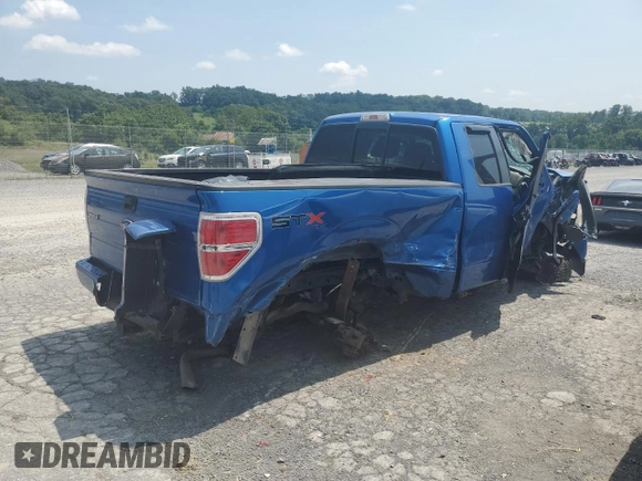 2010 Ford F-150 XL z VIN 1FTEX1EW1AFA49324, wystawiony jako Copart lot #65012455 z przebiegiem Nie podano mil oraz Szkoda całkowita • Salvage title. Historia ofert i sprzedaży dostępna na DreamBid. Obrazek 3.