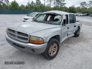2003 Dodge Dakota SLT with VIN 1D7HL48N13S274856, listed as a IAAI auction lot 41954038 with 306,728 mi miles. Bid and sale history available at carsss.com. Image 17.