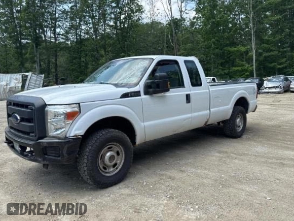 2012 Ford F-250 XL with VIN 1FT7X2B63CEB10491, listed as a Copart auction lot 61693965 with 290,034 mi miles and Clean title. Bid and sale history available at DreamBid. Image 2.
