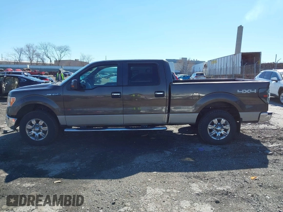 2009 Ford F-150 XL с VIN 1FTPW14V49FA98033, выставлен на аукционе IAAI как лот 41822035 с пробегом 209 727 миль миль и . История ставок и продаж доступна на DreamBid. Изображение 15.