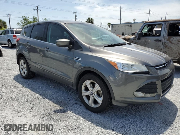 2014 Ford Escape SE with VIN 1FMCU0GXXEUB83262, listed as a Copart auction lot 53948235 with 113,548 mi miles and Clean Title. Bid and sale history available at DreamBid. Image 4.