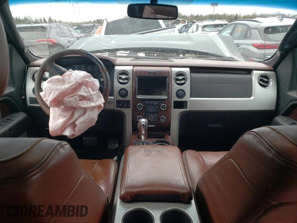 2013 Ford F-150 with VIN 2ATE01102DKD97632, listed as a Copart auction lot 49815235 with Not provided miles and Salvage title. Bid and sale history available at DreamBid. Image 8.
