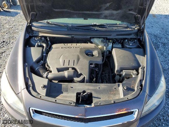 2010 Chevrolet Malibu LS w/1LS with VIN 1G1ZB5EB4AF251006, listed as a Copart auction lot 48736445 with NaN miles and Salvage Title. Bid and sale history available at carsss.com. Image 13.