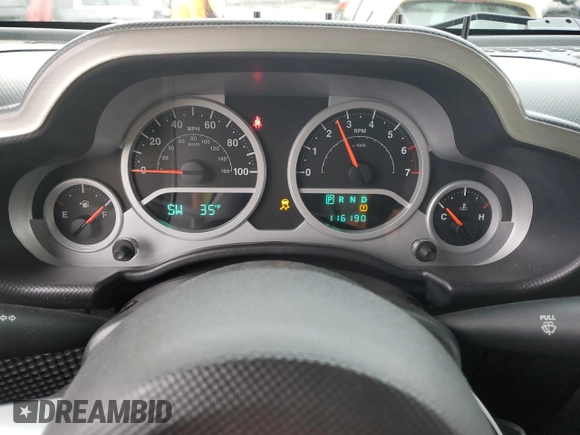 2010 Jeep Wrangler Sahara with VIN 1J4AA5D19AL110394, listed as a Copart auction lot 43793365 with 116,190 mi miles and Clean title. Bid and sale history available at DreamBid. Image 9.