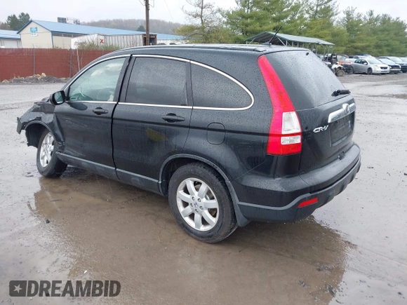 2009 Honda CR-V EX with VIN 5J6RE48509L045901, listed as a IAAI auction lot 41990313 with 223,305 mi miles and . Bid and sale history available at DreamBid. Image 3.