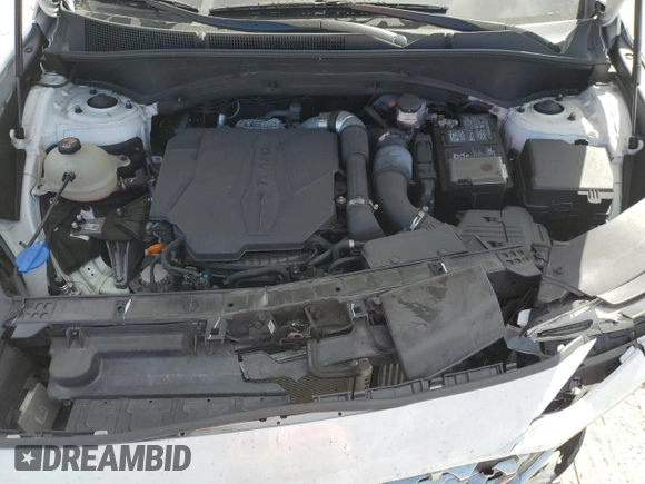 2022 Hyundai Santa Fe Limited with VIN 5NMS44AL2NH455808, listed as a Copart auction lot 45237285 with 51,255 mi miles and Salvage Title. Bid and sale history available at carsss.com. Image 13.