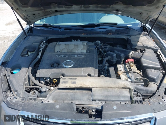 2008 Nissan Maxima SE with VIN 1N4BA41E18C811488, listed as a IAAI auction lot 42719618 with 150,331 mi miles and . Bid and sale history available at DreamBid. Image 10.