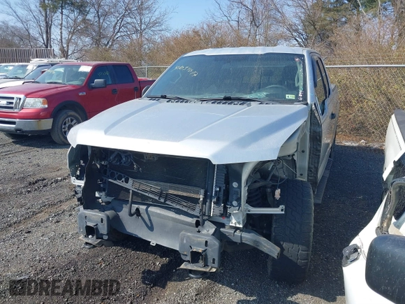 2016 Ford F-150 XLT with VIN 1FTFX1EFXGFA83792, listed as a IAAI auction lot 41034017 with 166,995 mi miles. Bid and sale history available at carsss.com. Image 6.