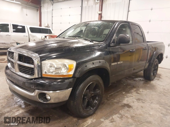2006 Dodge 1500 SLT with VIN 1D7HU18N56S548849, listed as a IAAI auction lot 41480173 with Not Provided miles and . Bid and sale history available at DreamBid. Image 16.