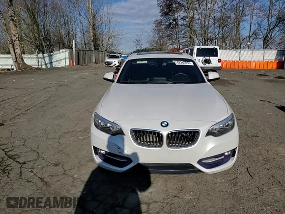 2016 BMW 2 Series 228i with VIN WBA1F9C59GV545896, listed as a Copart auction lot 42260055 with 68,755 mi miles and Salvage Title. Bid and sale history available at DreamBid. Image 11.