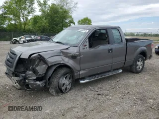 2010 Ford F-150 XL with VIN 1FTEX1EWXAFD75705, listed as a Copart auction lot 56685075 with 203,492 mi miles and Salvage title. Bid and sale history available at DreamBid. Image 1.